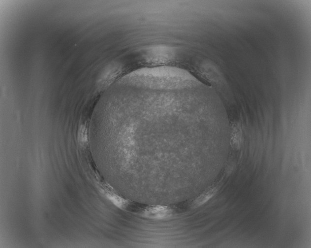 X0000078890431200611201441