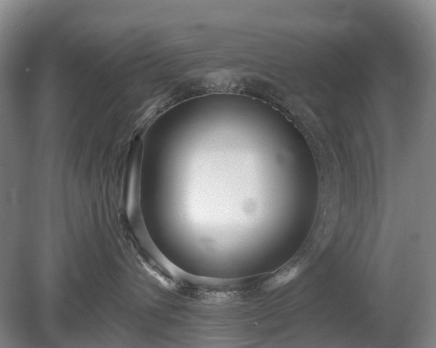 X0000078890432200611201441