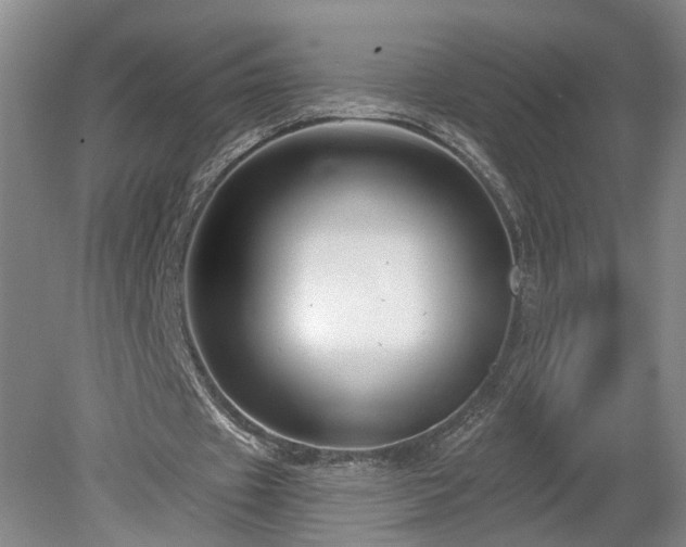 X0000078890433200611201440