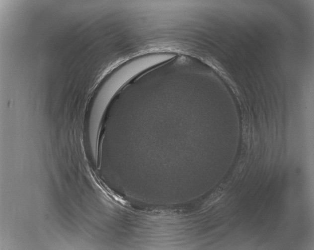 X0000078890434200611201440