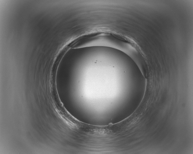 X0000078890439200611201441