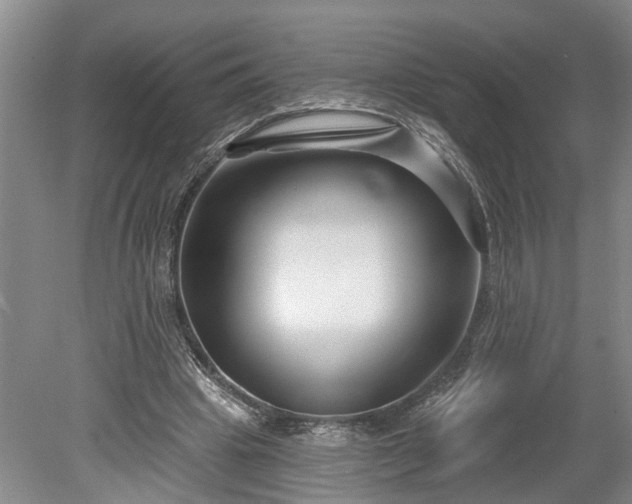 X0000078890441200611201441