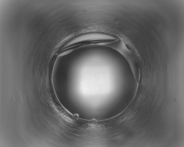 X0000078890442200611201441