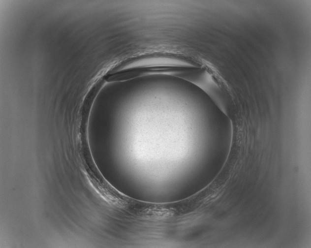 X0000078890443200611201441