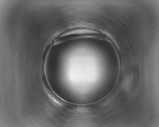 X0000078890445200611201441