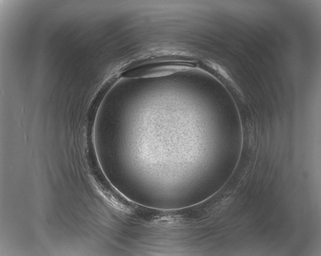 X0000078890447200611201441