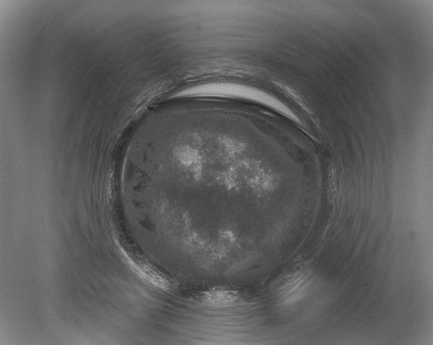 X0000078890451200611201441