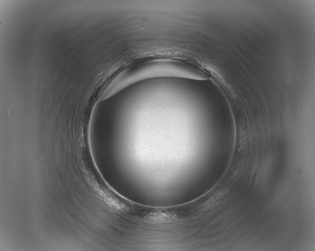 X0000078890453200611201441