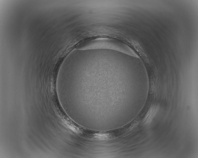 X0000078890457200611201441