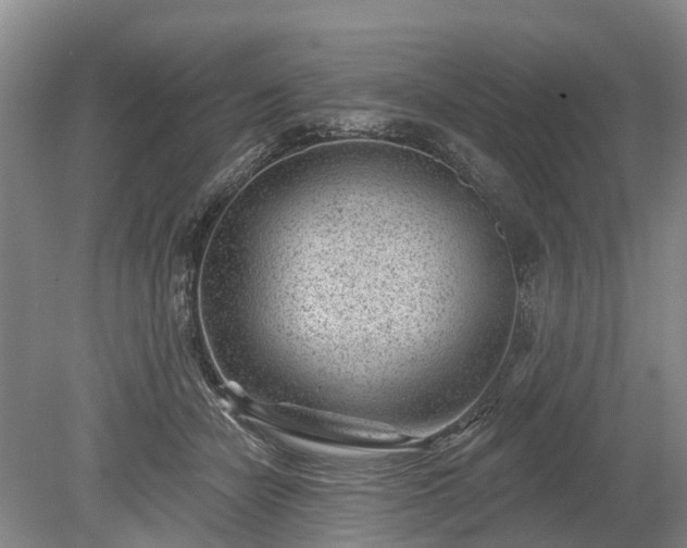 X0000078890462200611201441