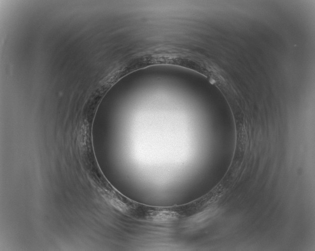 X0000078890463200611201441