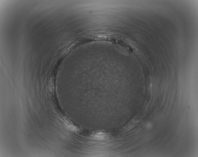 X0000078890467200611201441