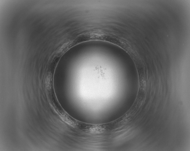 X0000078890468200611201441