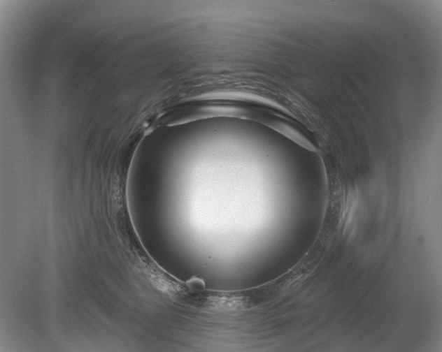 X0000078890469200611201441