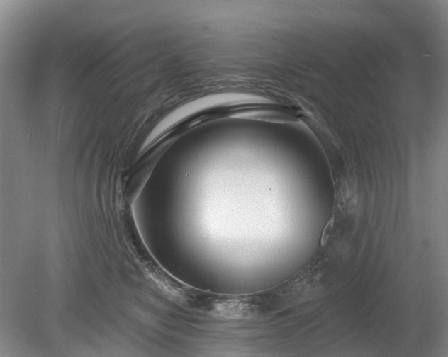 X0000078890470200611201441