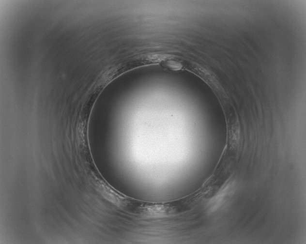 X0000078890473200611201441