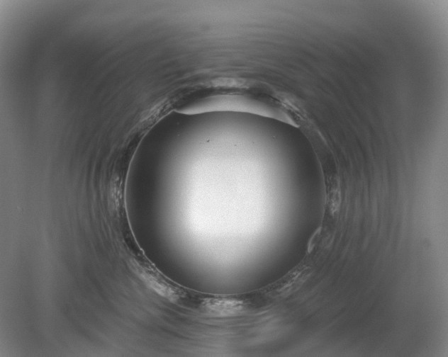 X0000078890476200611201441