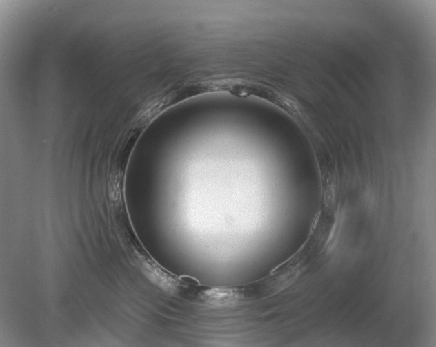 X0000078890477200611201441