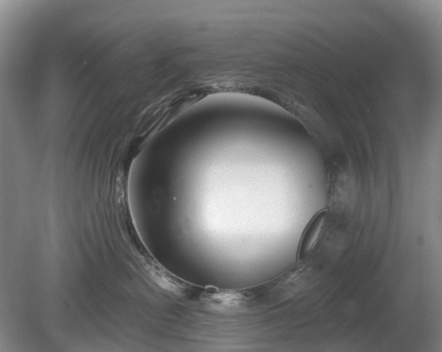 X0000078890478200611201441