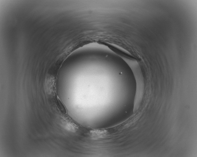 X0000078890480200611201441