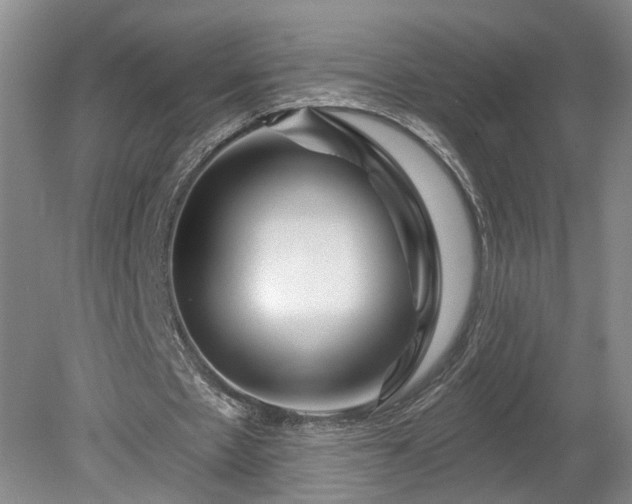 X0000078890481200611201440