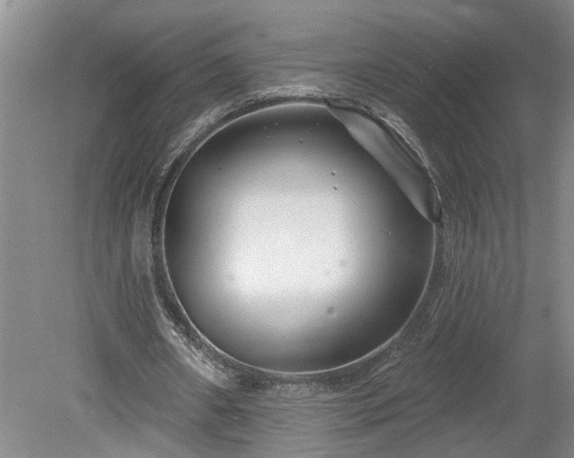 X0000078890482200611201440