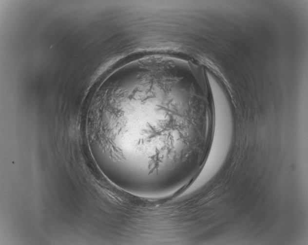 X0000078890483200611201440