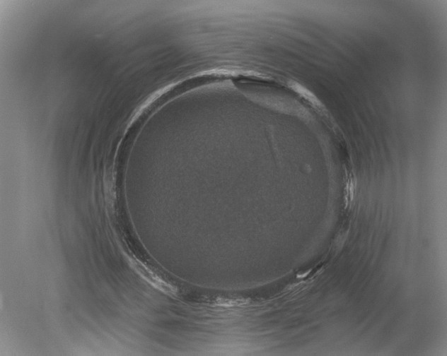 X0000078890484200611201440