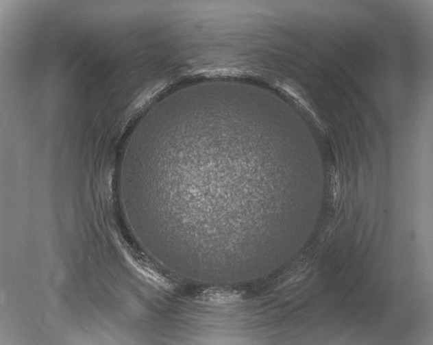 X0000078890491200611201440