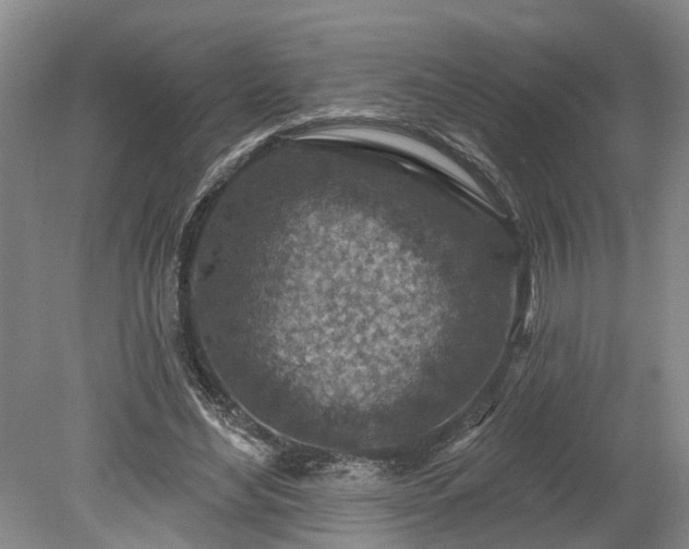 X0000078890492200611201440