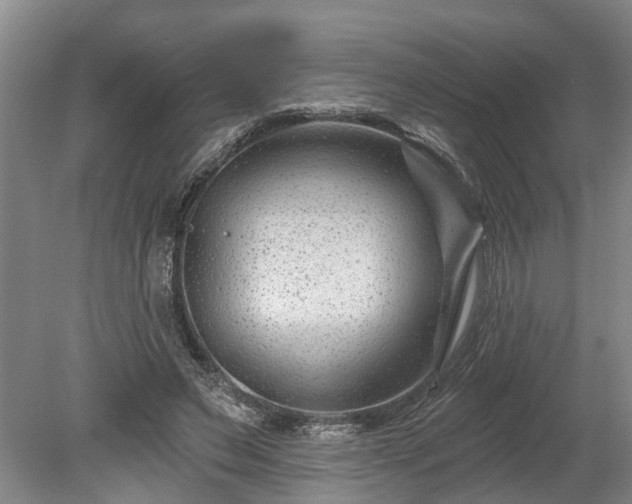 X0000078890495200611201440