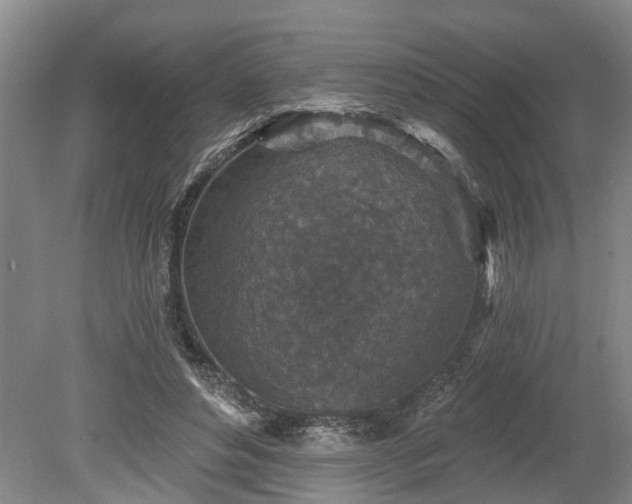 X0000078890496200611201440