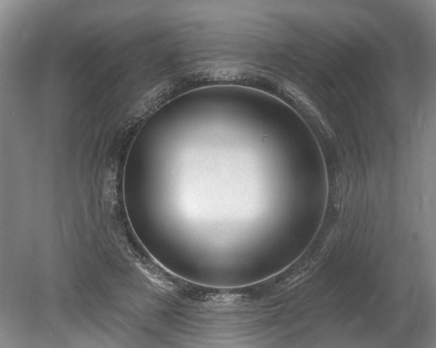 X0000078890497200611201440