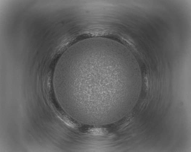 X0000078890499200611201440