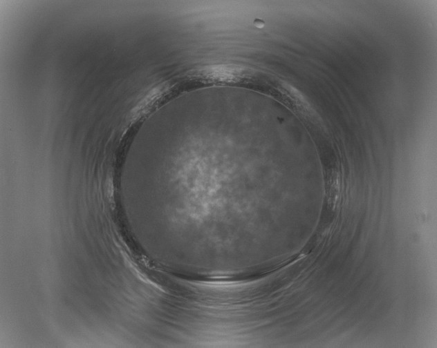 X0000078890500200611201440