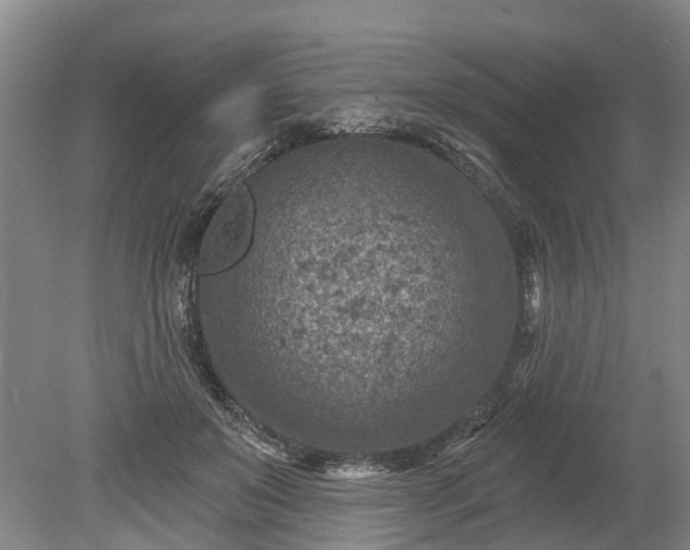 X0000078890503200611201440