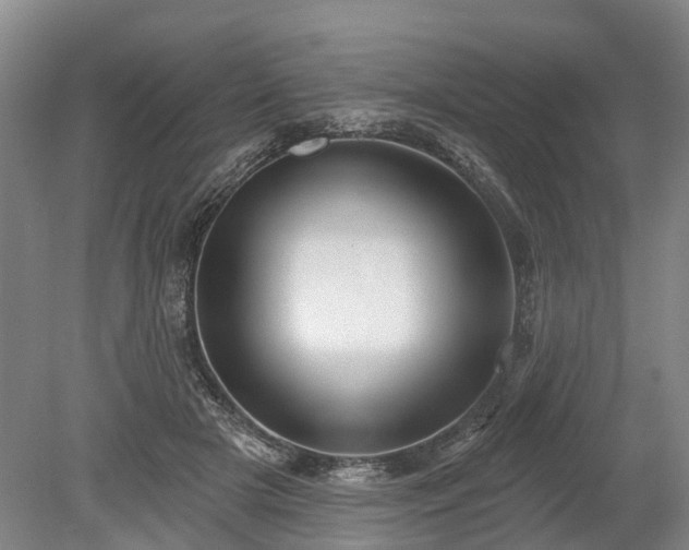 X0000078890505200611201440