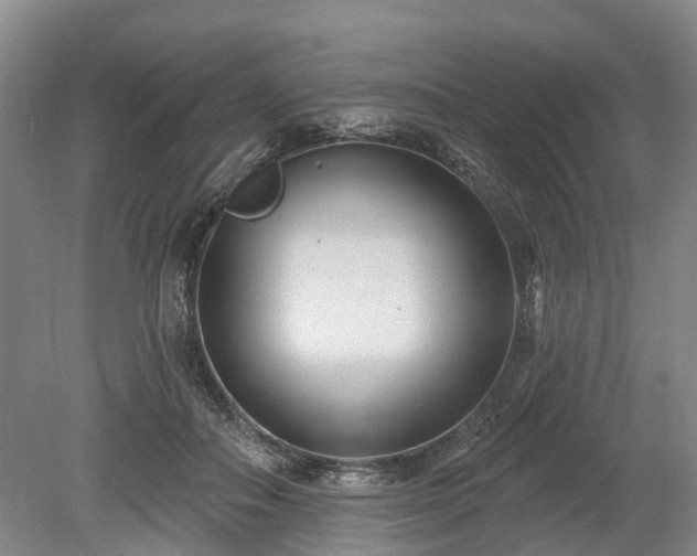 X0000078890506200611201440