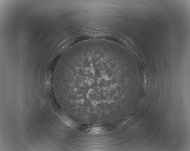 X0000078890507200611201440