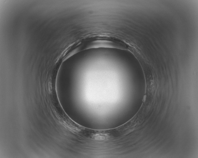 X0000078890508200611201440