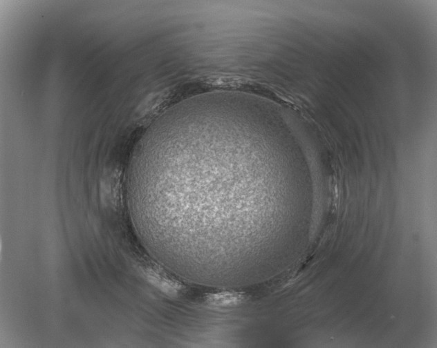 X0000078890511200611201440