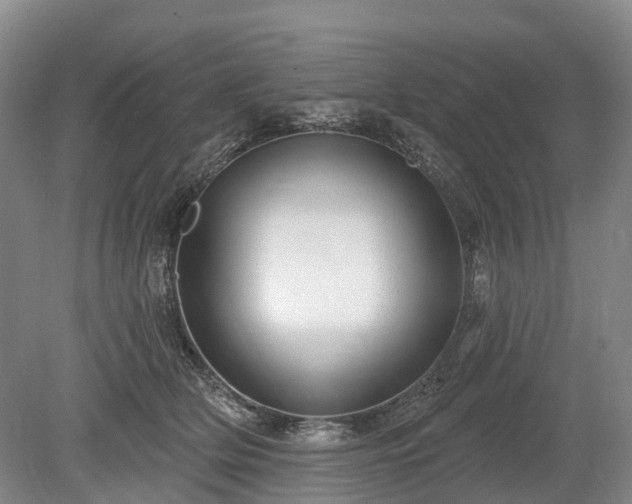 X0000078890514200611201440