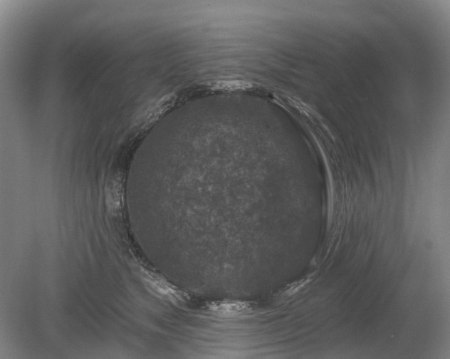 X0000078890517200611201440