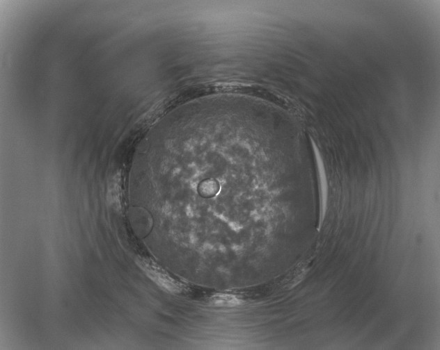 X0000078890519200611201440