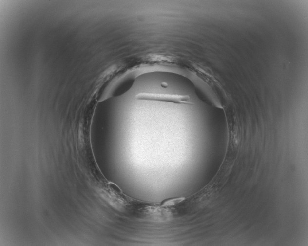 X0000078890520200611201440