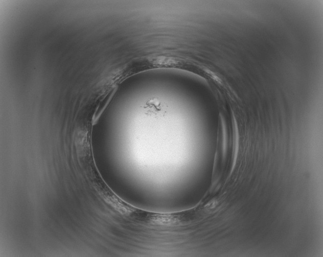 X0000078890521200611201440