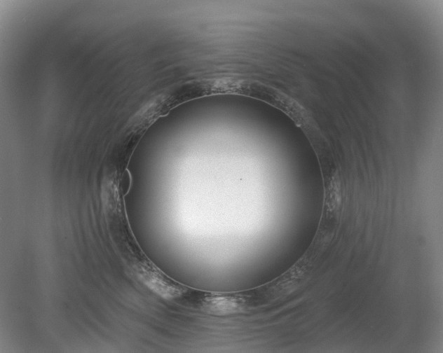 X0000078890522200611201440