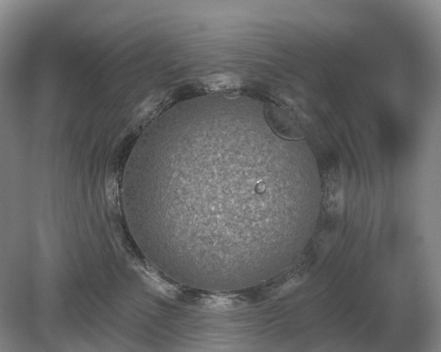 X0000078890523200611201440