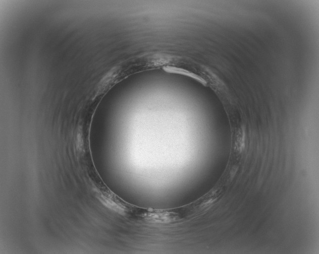 X0000078890524200611201440