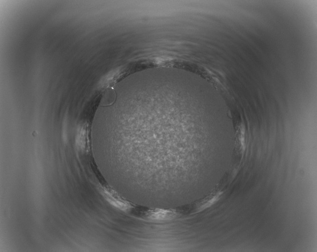 X0000078890527200611201440